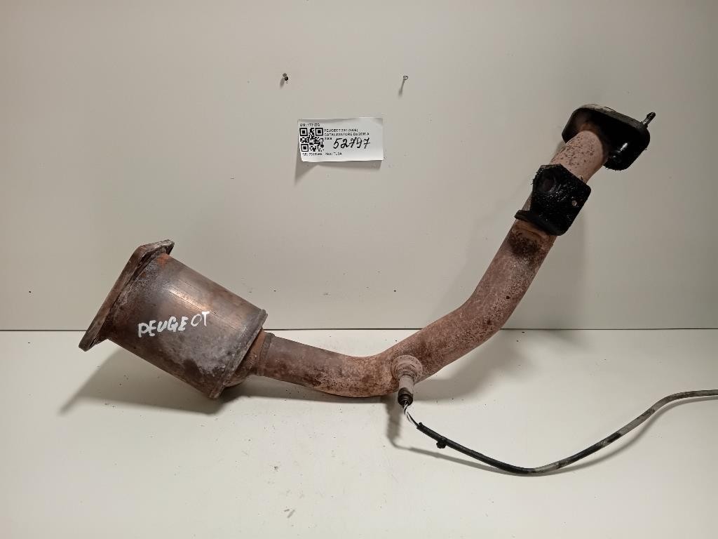 Catalizzatore 1731ZQ Peugeot 207 2006