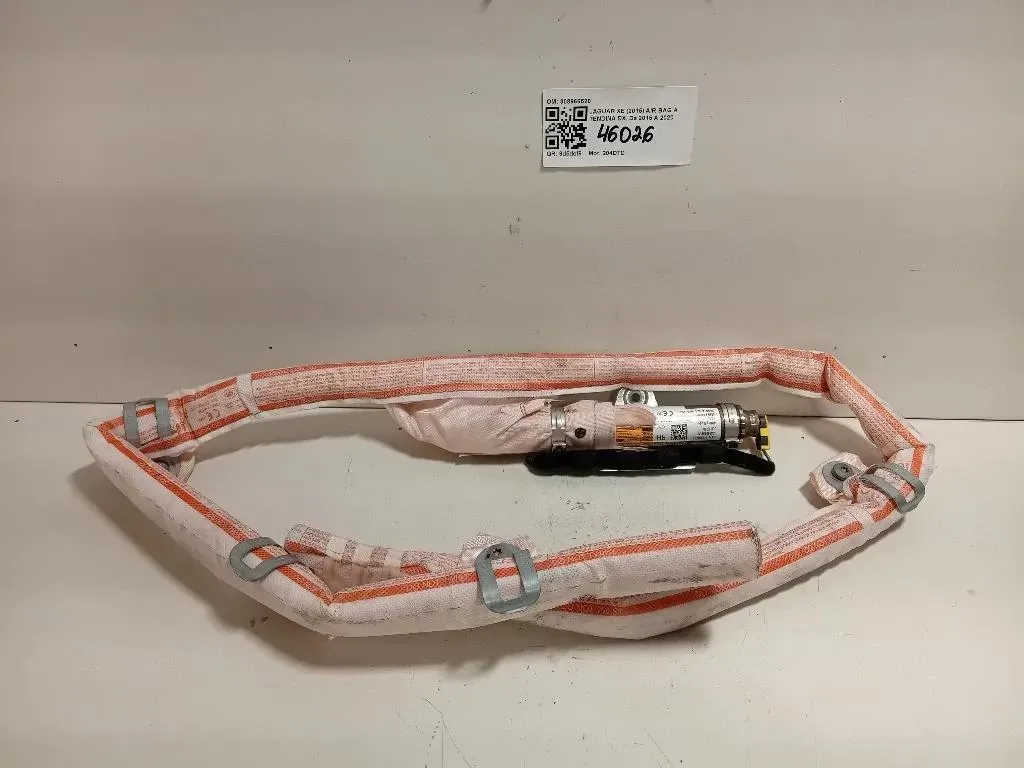 Air-bag A Tendina DX 308966520 Jaguar XE 2015