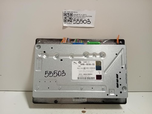 Centralina Amplificatore Acustico