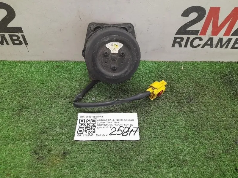 Air-bag Cofano Sistema Protezione Pedoni ANT 8X2316E600AB Jaguar XF I 2008