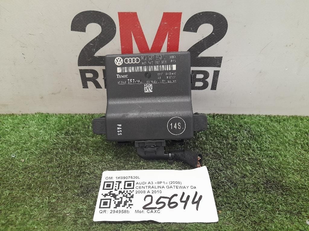 Centralina Gateway 1K0907530L Audi A3 8P1 2008