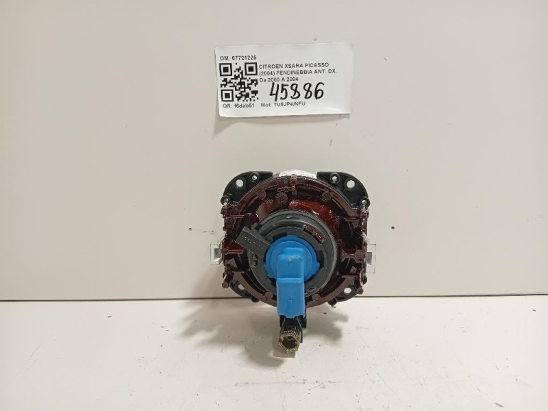 Fendinebbia ANT DX 67721225 Citroen Xsara Picasso 2004