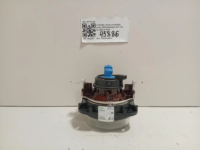 Fendinebbia ANT DX 67721225 Citroen Xsara Picasso 2004