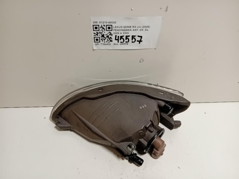 Fendinebbia ANT DX 81210-48020 Lexus Serie RX II 2005