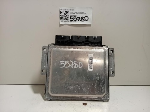 Centralina Iniezione