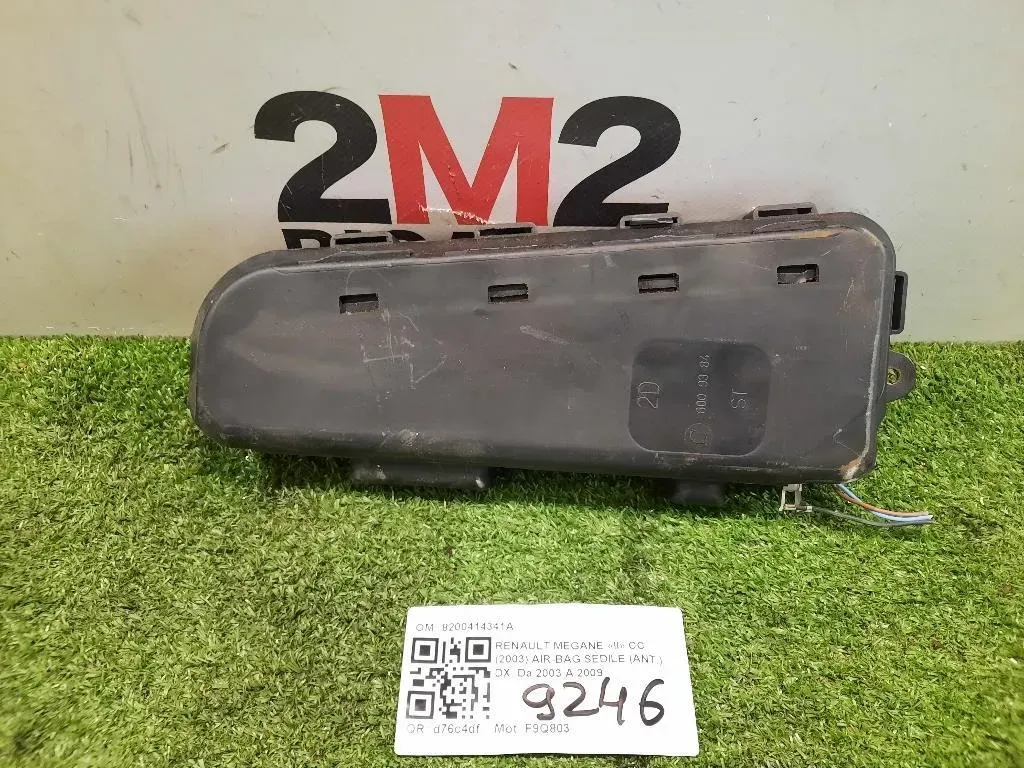 Air-bag Sedile ANT DX 8200414341A Renault Megane II CC 2003
