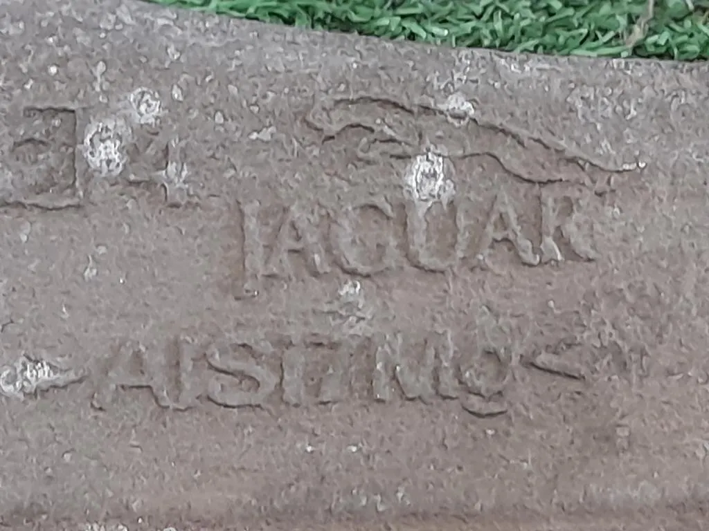 Fusello Ruota ANT DX C2P23583 Jaguar XF I 2008