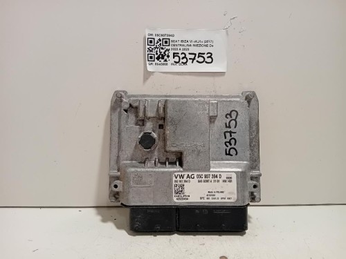 Centralina Iniezione