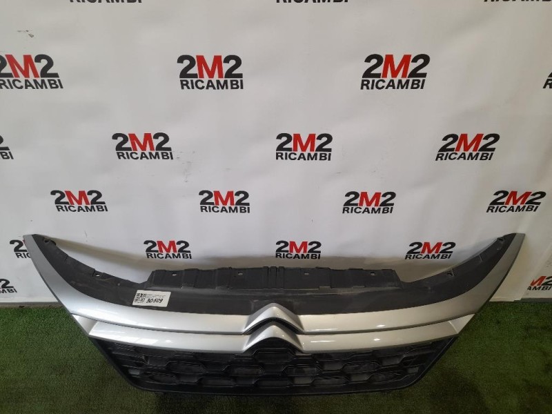 Griglia Cofano ANT 1611648980 Citroen Jumper III 2014