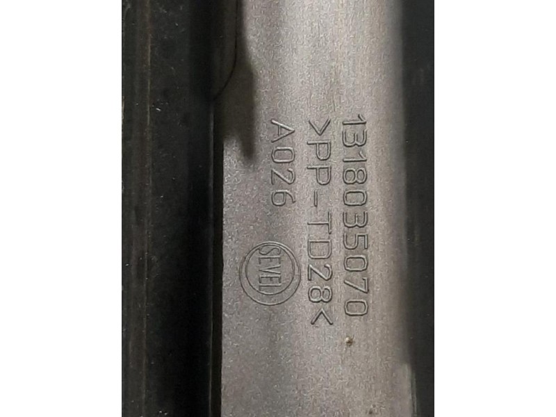 Griglia Cofano ANT 1318035070 Fiat Ducato 290 2014