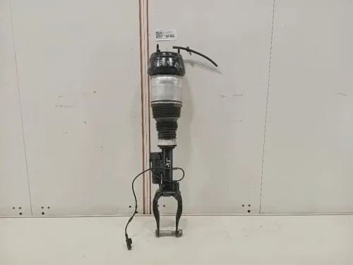 Ammortizzatore ANT SX A1663233500 Mercedes Classe GLE W166 2015