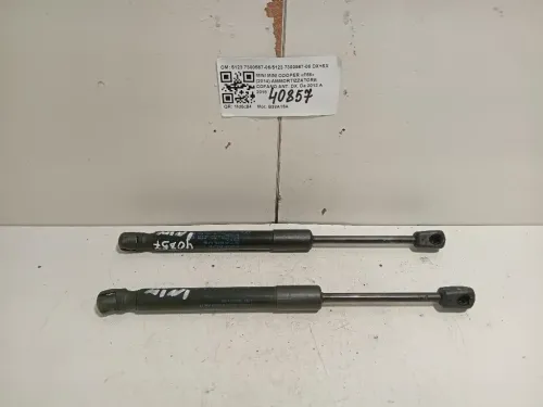 Ammortizzatore Cofano ANT DX 5123 7300567-065123 7300567-06 DX+SX Mini MINI Cooper F56 2014