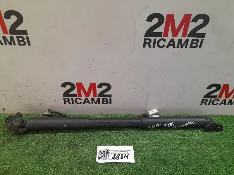 Ammortizzatore Portello POST DX 51247340976 Bmw Serie 3 F31 Touring 2012