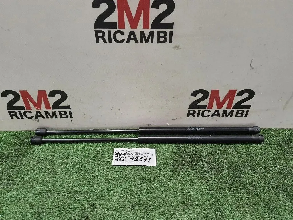 Ammortizzatore Portello POST DX COPPIA 51833625 Lancia Ypsilon III 2011