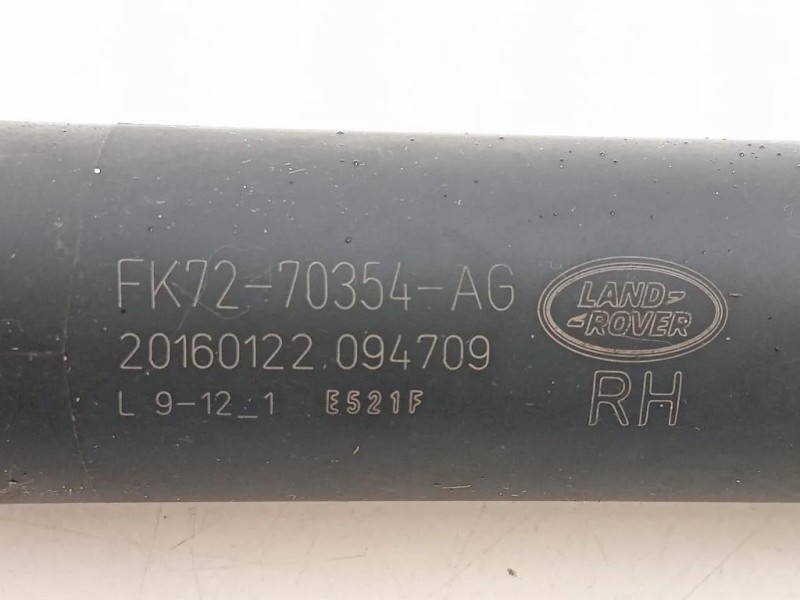 Ammortizzatore Portello POST DX FK72-70354-AG Land Rover Discovery V Sport 2019