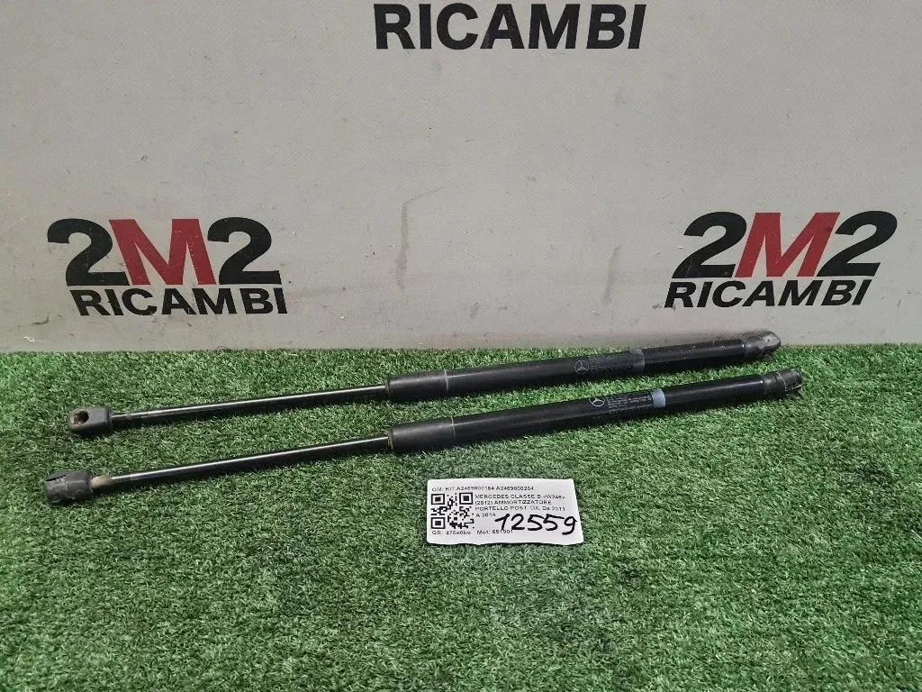 Ammortizzatore Portello POST DX KIT A2469800164 A2469800264 Mercedes Classe B W246 2012