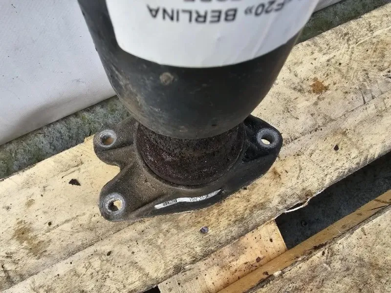 Ammortizzatore POST SX 6862172-01 SX Bmw Serie 1 F20 Berlina 2012