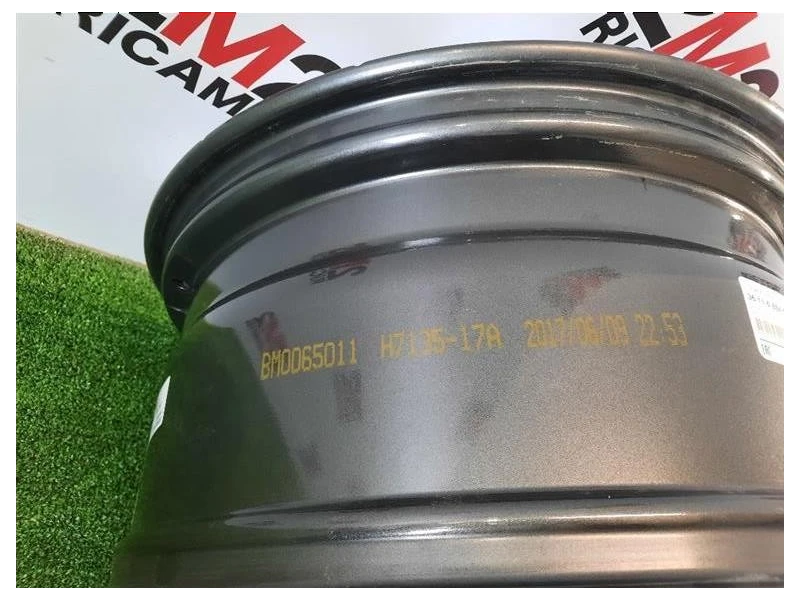 Cerchio Ruota ANT SX 36118071996 Bmw X5 G05 2018