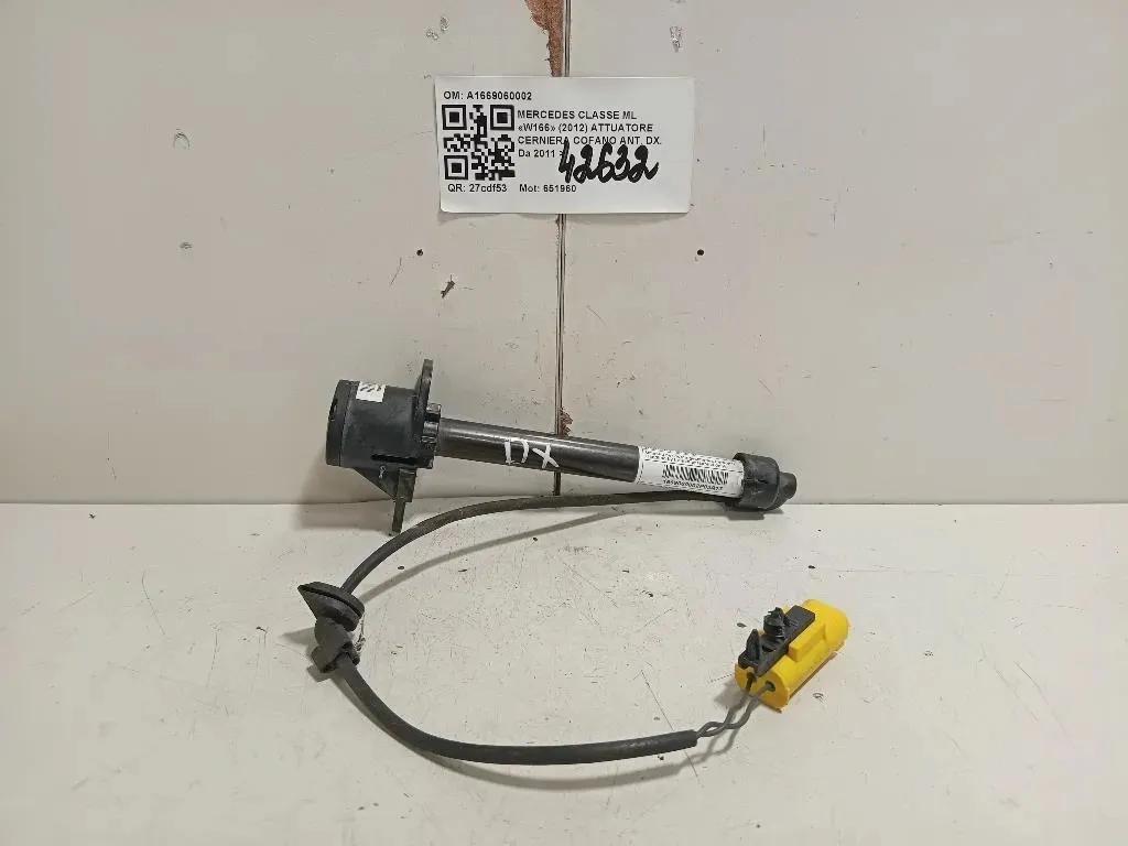 Attuatore Cerniera Cofano ANT DX A1669060002 Mercedes Classe ML W166 2012