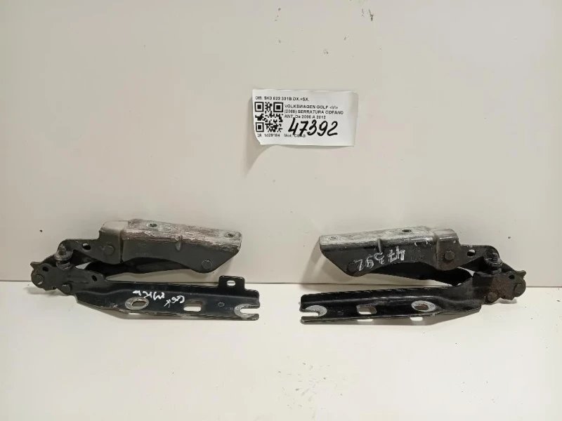Cerniera Cofano ANT 5K0 823 301B DX+SX Volkswagen GOLF VI 2009