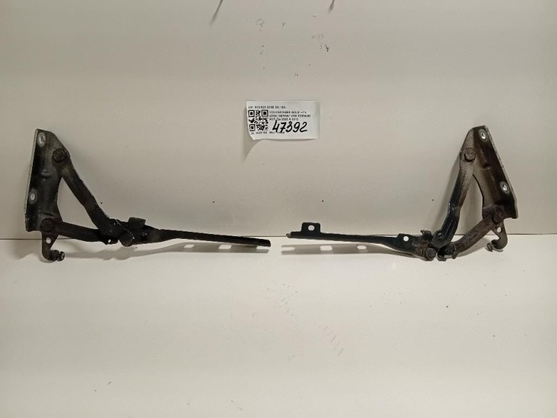 Cerniera Cofano ANT 5K0 823 301B DX+SX Volkswagen GOLF VI 2009