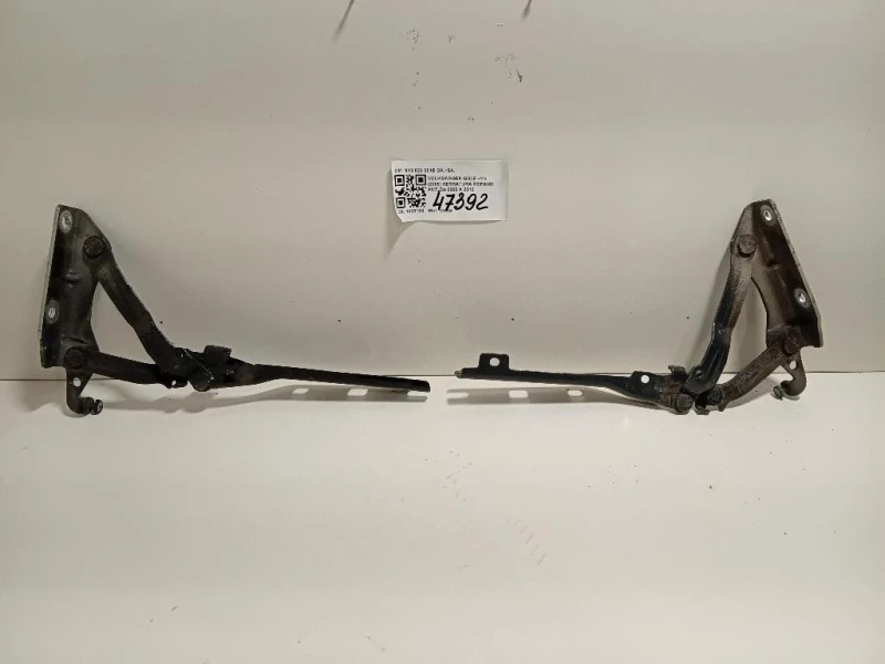 Cerniera Cofano ANT 5K0 823 301B DX+SX Volkswagen GOLF VI 2009