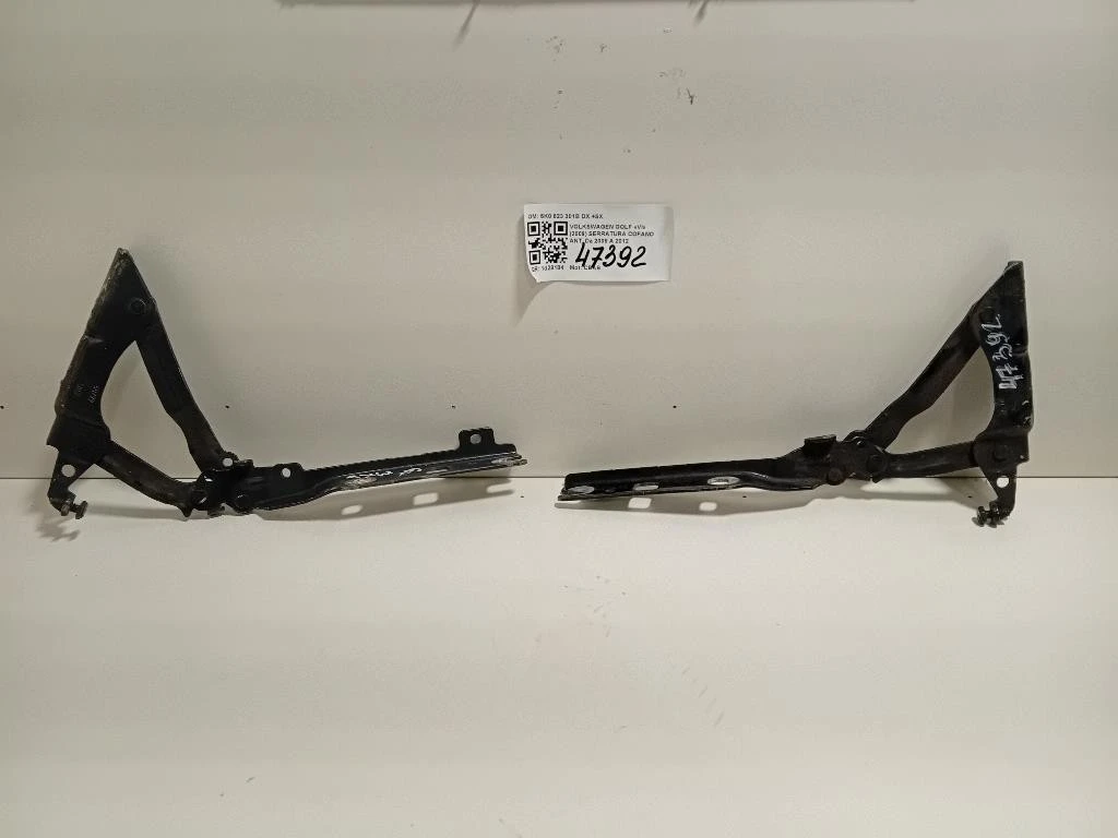 Cerniera Cofano ANT 5K0 823 301B DX+SX Volkswagen GOLF VI 2009