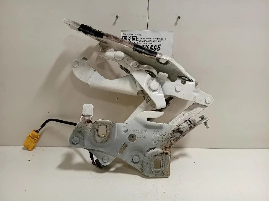Cerniera Cofano ANT DX 8W0 823 302 E Audi A4 8W5 Avant 2015