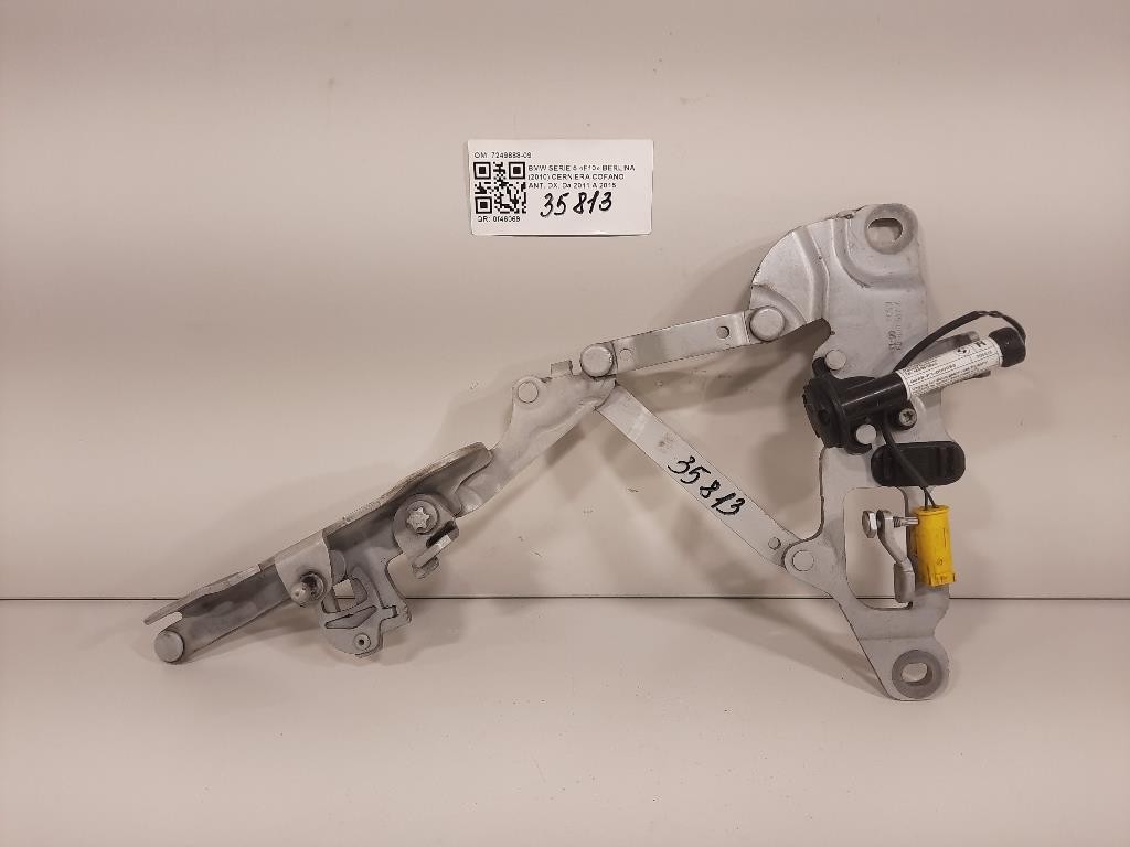 Cerniera Cofano ANT DX 7249888-09 Bmw Serie 5 F10 Berlina 2010