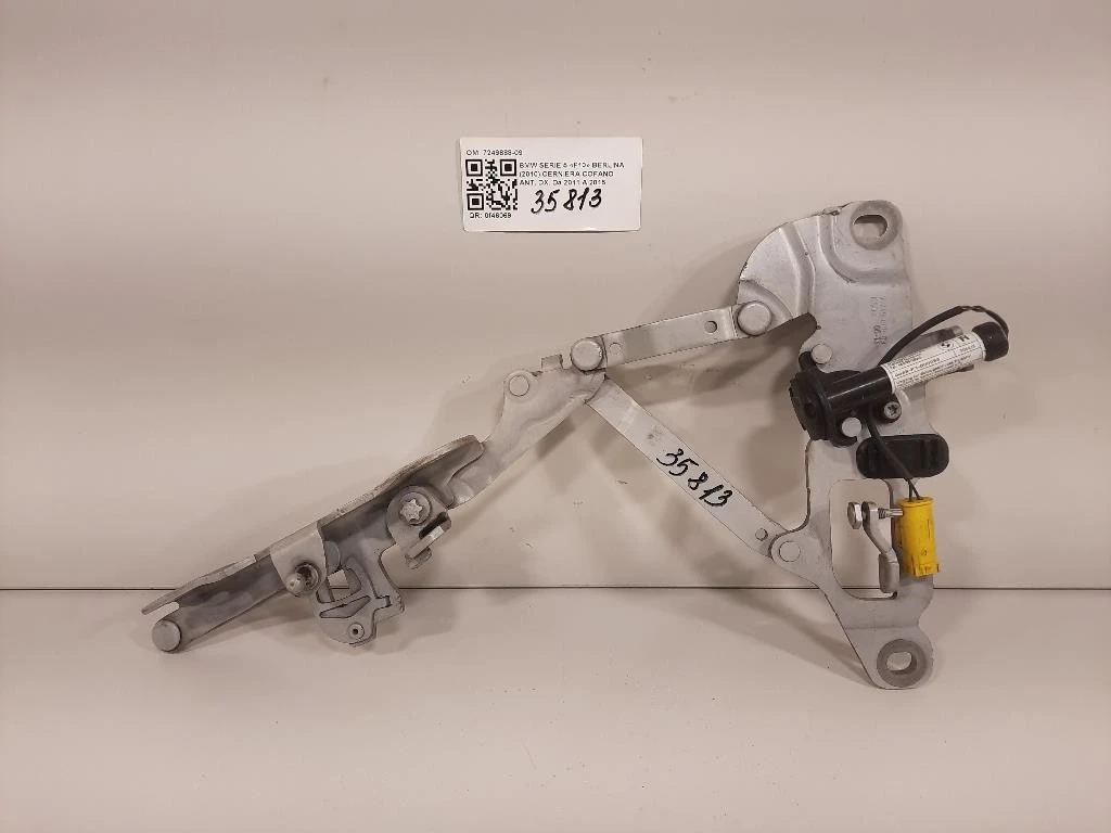 Cerniera Cofano ANT DX 7249888-09 Bmw Serie 5 F10 Berlina 2010