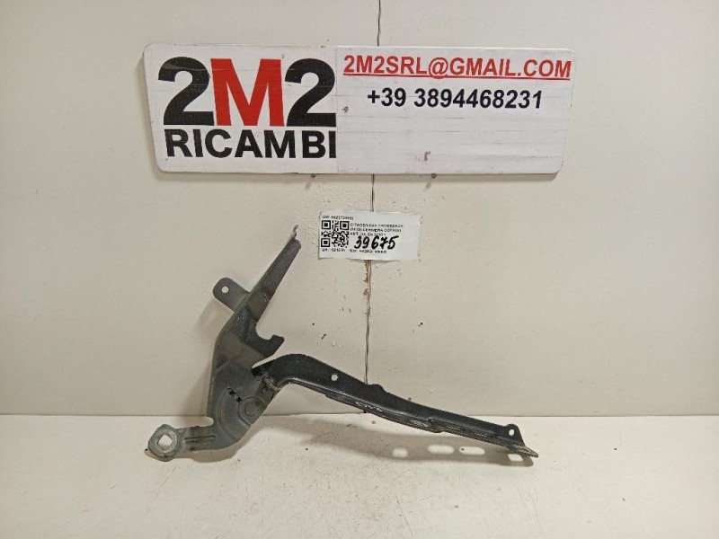Cerniera Cofano ANT DX 9820730680 Citroen DS3 Crossback 2018