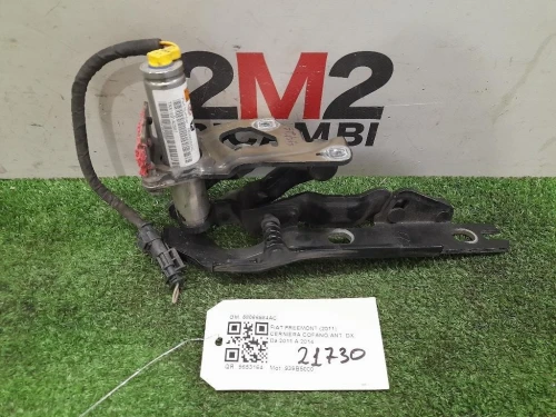 Cerniera Cofano ANT DX 68066584AC Fiat Freemont 2011