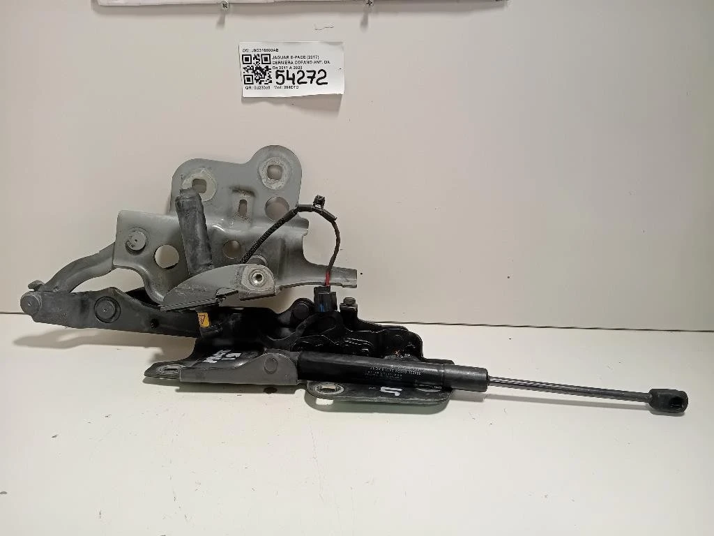 Cerniera Cofano ANT DX J9C316800AB Jaguar E-pace 2017