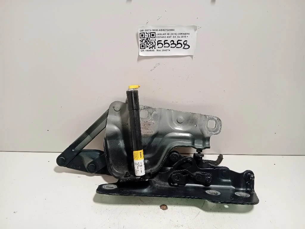 Cerniera Cofano ANT DX GX73-16800-AE627243900 Jaguar XE 2015