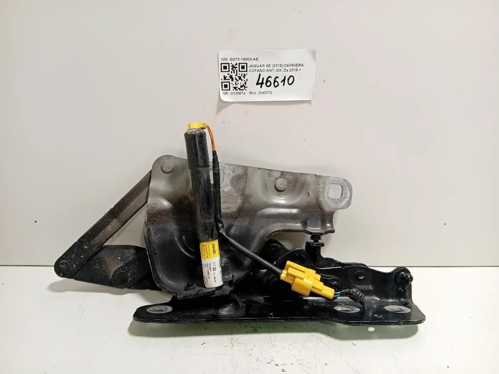 Cerniera Cofano ANT DX GX73-16800-AE Jaguar XE 2015