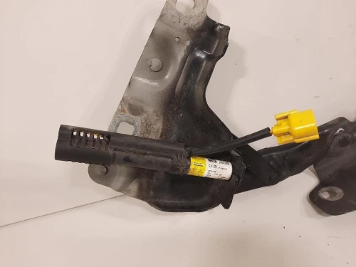 Cerniera Cofano ANT DX GX73-16800-AE Jaguar XE 2015