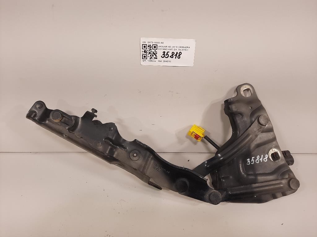 Cerniera Cofano ANT DX GX73-16800-AE Jaguar XE 2015