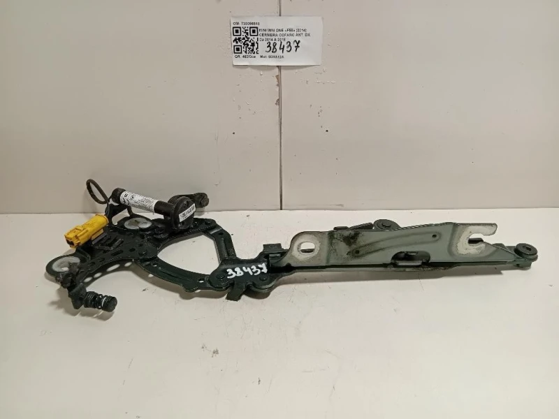 Cerniera Cofano ANT DX 41007370302 Mini MINI ONE F55 2014