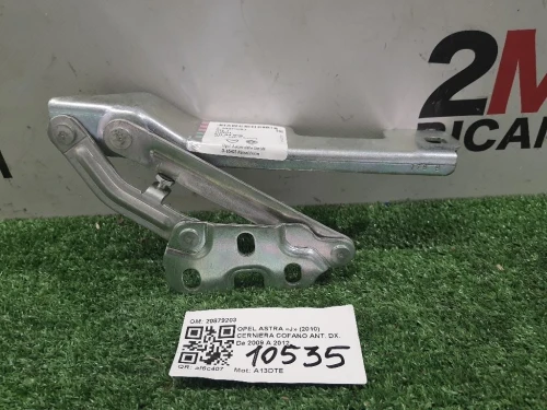 Cerniera Cofano ANT DX 20879203 Opel Astra J 2010