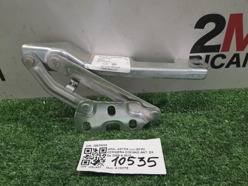 Cerniera Cofano ANT DX 20879203 Opel Astra J 2010