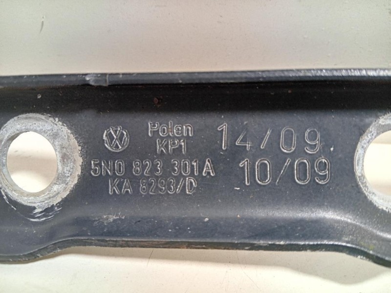 Cerniera Cofano ANT DX 5N0823301A Volkswagen Tiguan I 2011