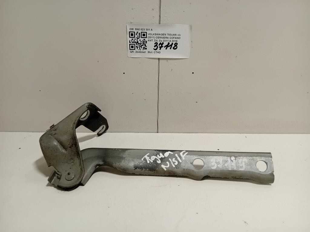 Cerniera Cofano ANT DX 5N0823301A Volkswagen Tiguan I 2011