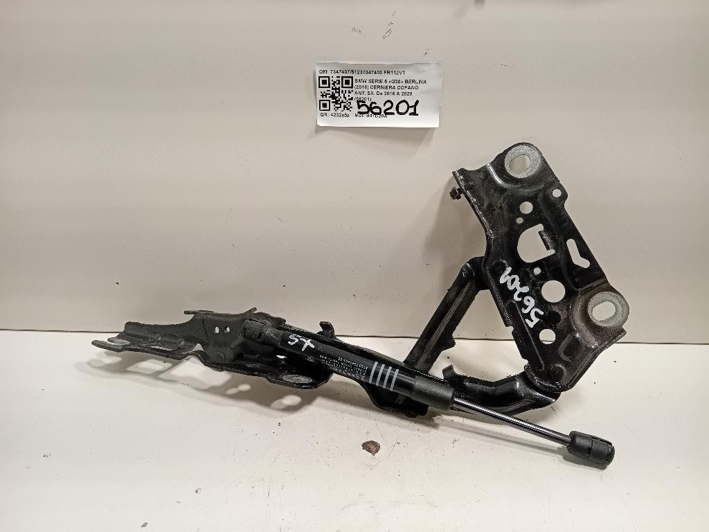 Cerniera Cofano ANT SX 734740751237347403 Bmw Serie 5 G30 Berlina 2016