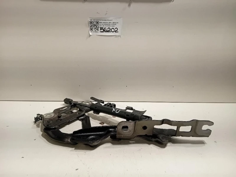 Cerniera Cofano ANT SX 734740851237347403 Bmw Serie 5 G30 Berlina 2016