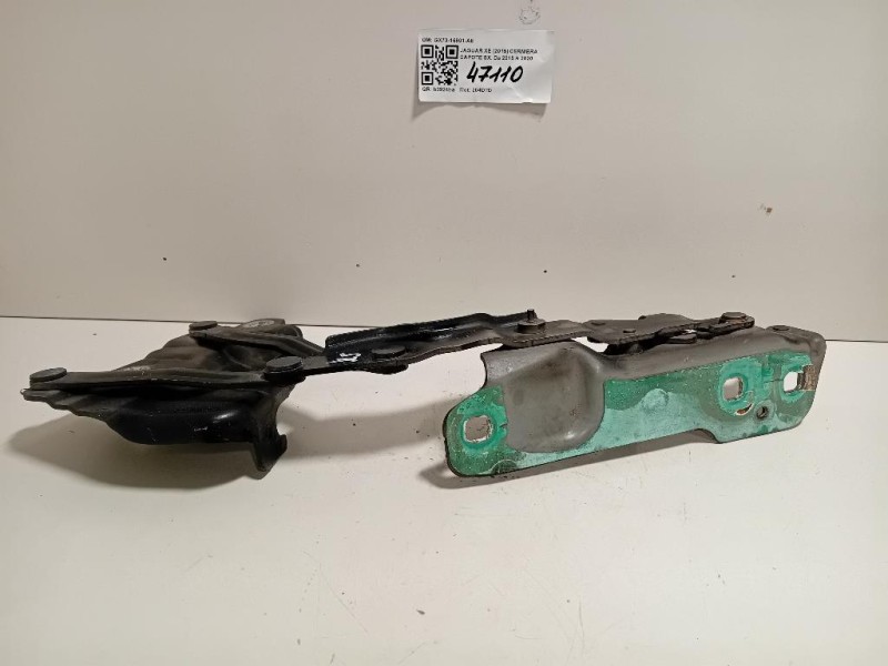 Cerniera Cofano ANT SX GX73-16801-AE Jaguar XE 2015