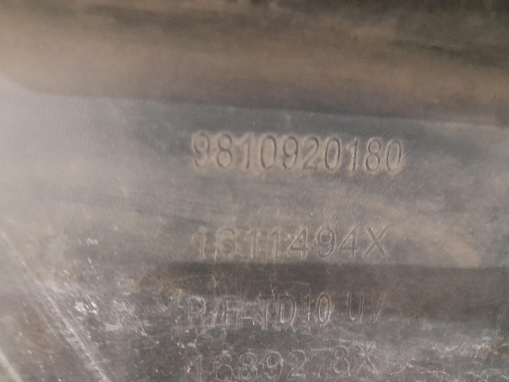 Griglia Radiatore 9810920180 Peugeot 208 I 2015