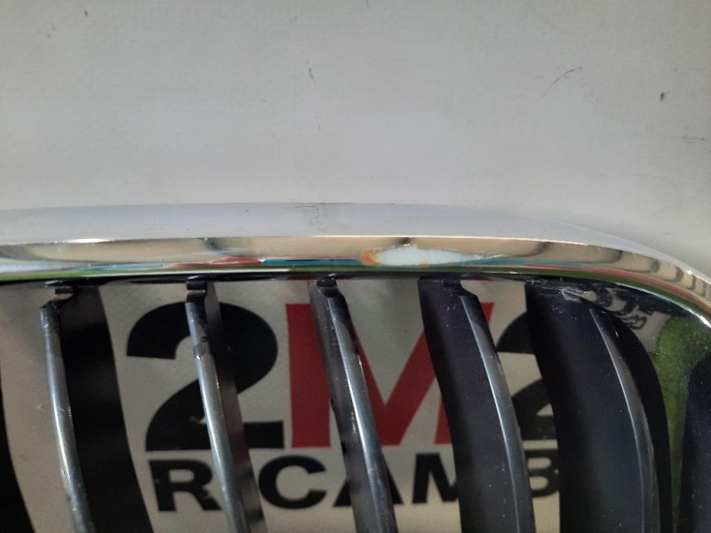 Griglia Radiatore DX 51137295522 Bmw Serie 2 F22 Coupe 2014