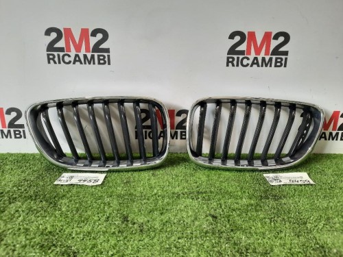 Griglia Radiatore DX 51137295524 Bmw Serie 2 F22 Coupe 2014