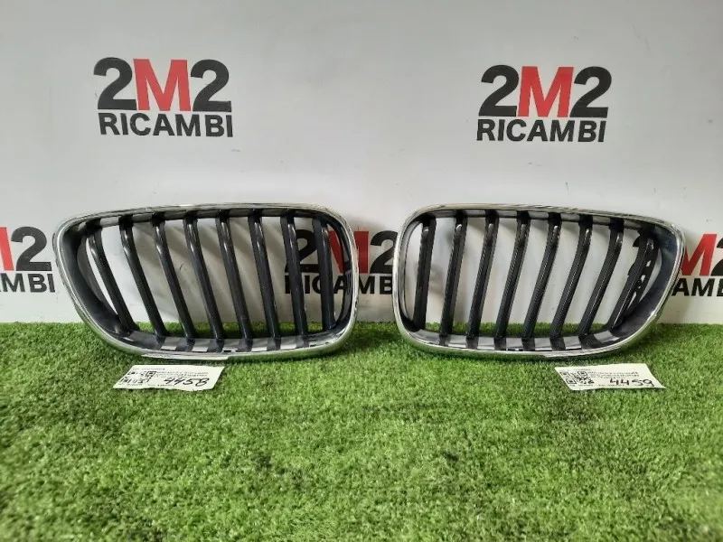 Griglia Radiatore DX 51137295524 Bmw Serie 2 F22 Coupe 2014