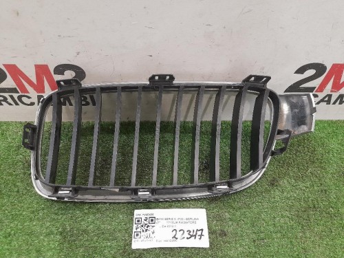 Griglia Radiatore DX 7295436 Bmw Serie 3 F30 Berlina 2012